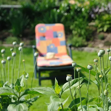 Dreiseitenblick Bad Doberan