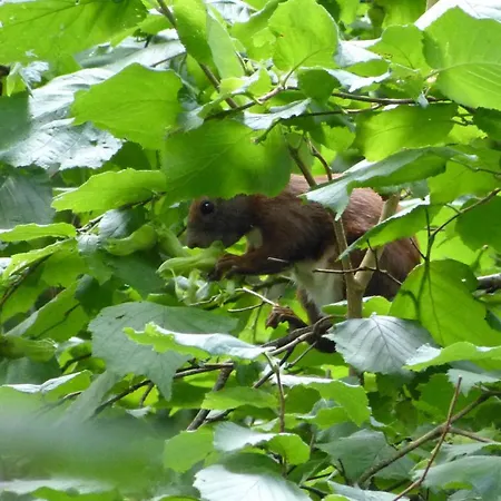 Dreiseitenblick Apartmán *